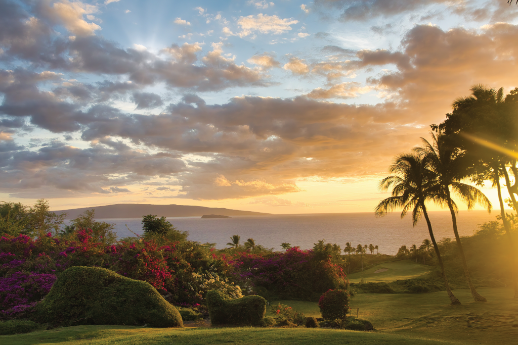 ultimate-maui-wailea-footer-thumb