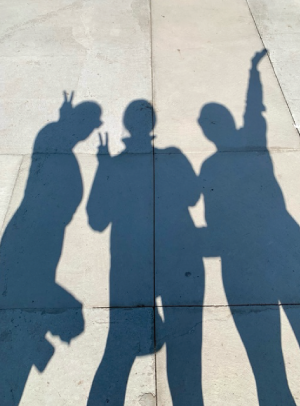 Mt-Rushmore-shadows