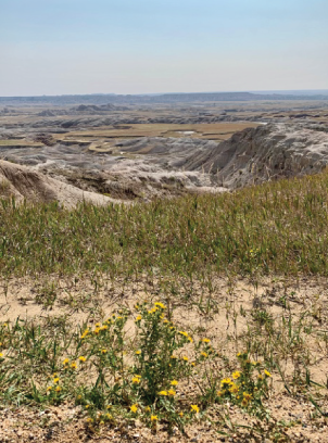 badlands-national-park-views