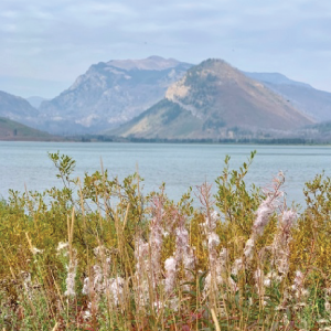grand-teton-national-park-views