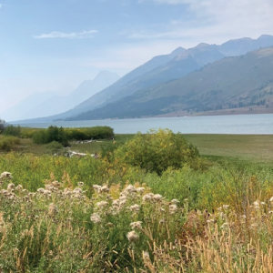 grand-teton-national-park