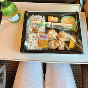 Bento-Box-Bullet-Train-Japan