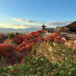 Kiyomizu-dera-Temple