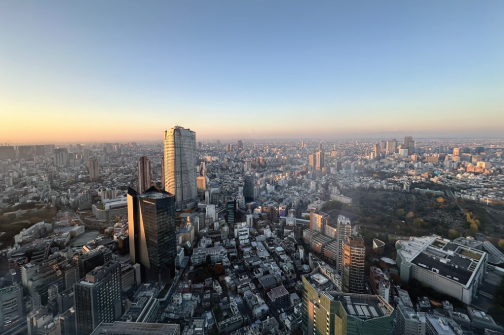 Tokyo-Skyline