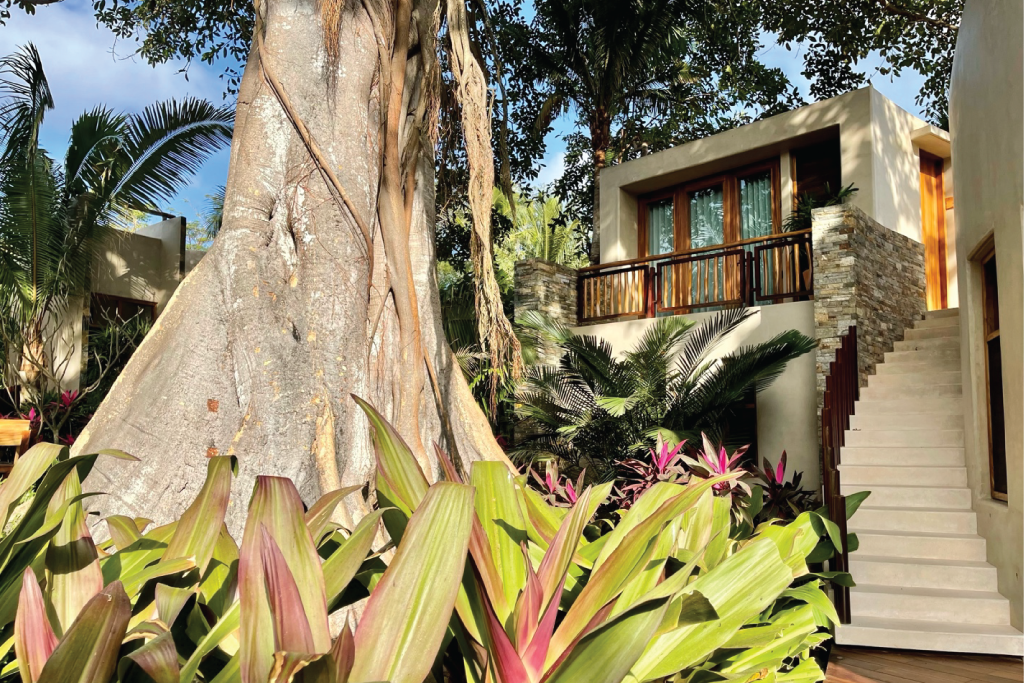 Casa-Tau-Punta-Mita-footer-image