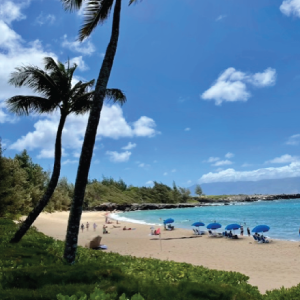 Westin-Nanea-Ocean-Villas-Beach