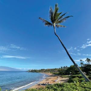 maui-wailea-beach