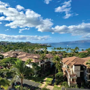 ultimate-maui1
